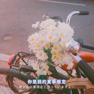 人妖chinesetscd在线
